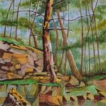 Hidden Woods - 14x11 - ink & pastel on paper (Catskills, near Onteora Lake Dec 2015)