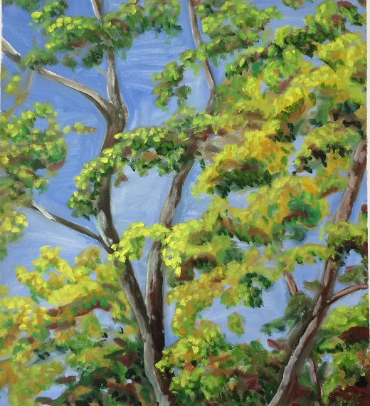 Canopy, oil on paper, 18 x 16 inches (June 2018)